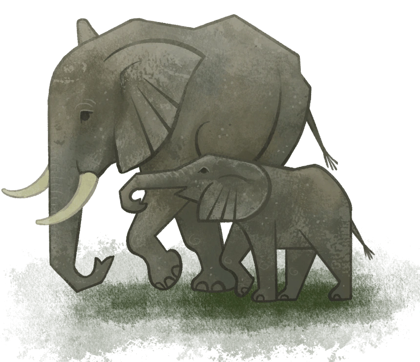 The illustration of a mother elephant and her young